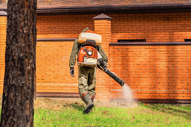 Trusted Cockroach Control service in West Memphis, AR - Nex Pest Control